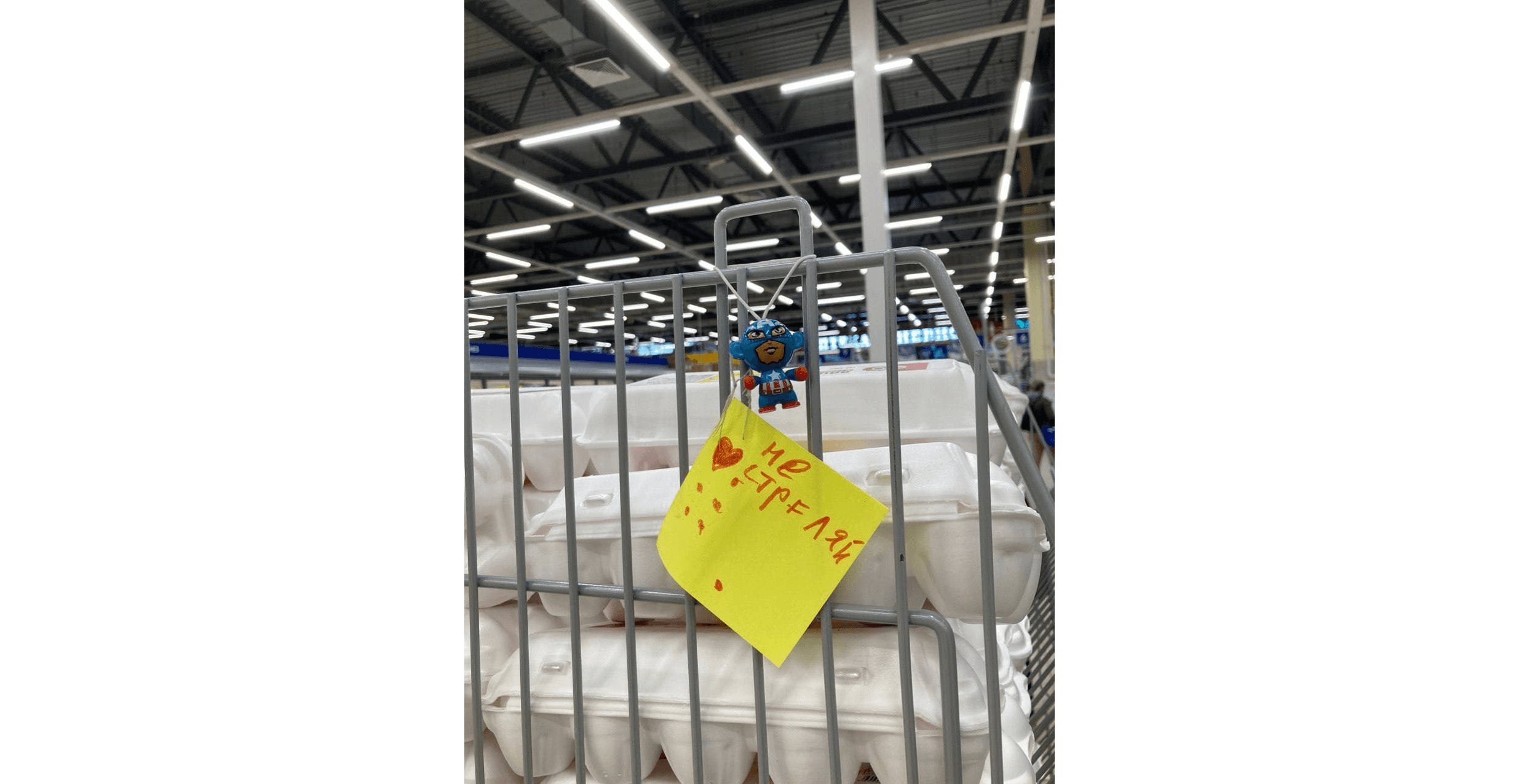 В Петербурге силовики задержали пару, которая повесила в гипермаркете игрушку с надписью «Не стреляй». Ее обвиняют в дискредитации войск РФ