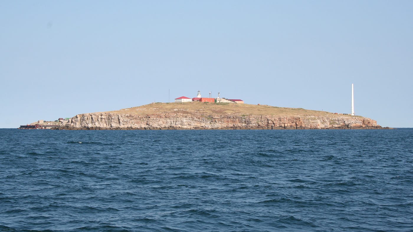 Главнокомандующий ВСУ показал «шаг доброй воли» России, опубликовав видео удара фосфорными бомбами по Змеиному