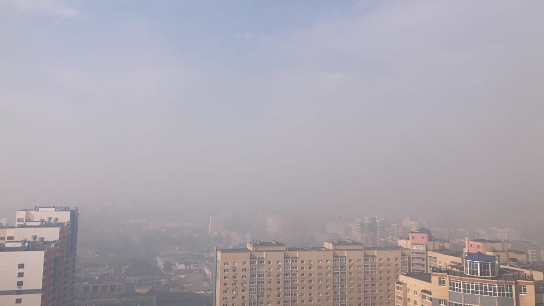 Рослесхоз: власти Рязанской области скрывали масштабы лесных пожаров и «упустили» ситуацию