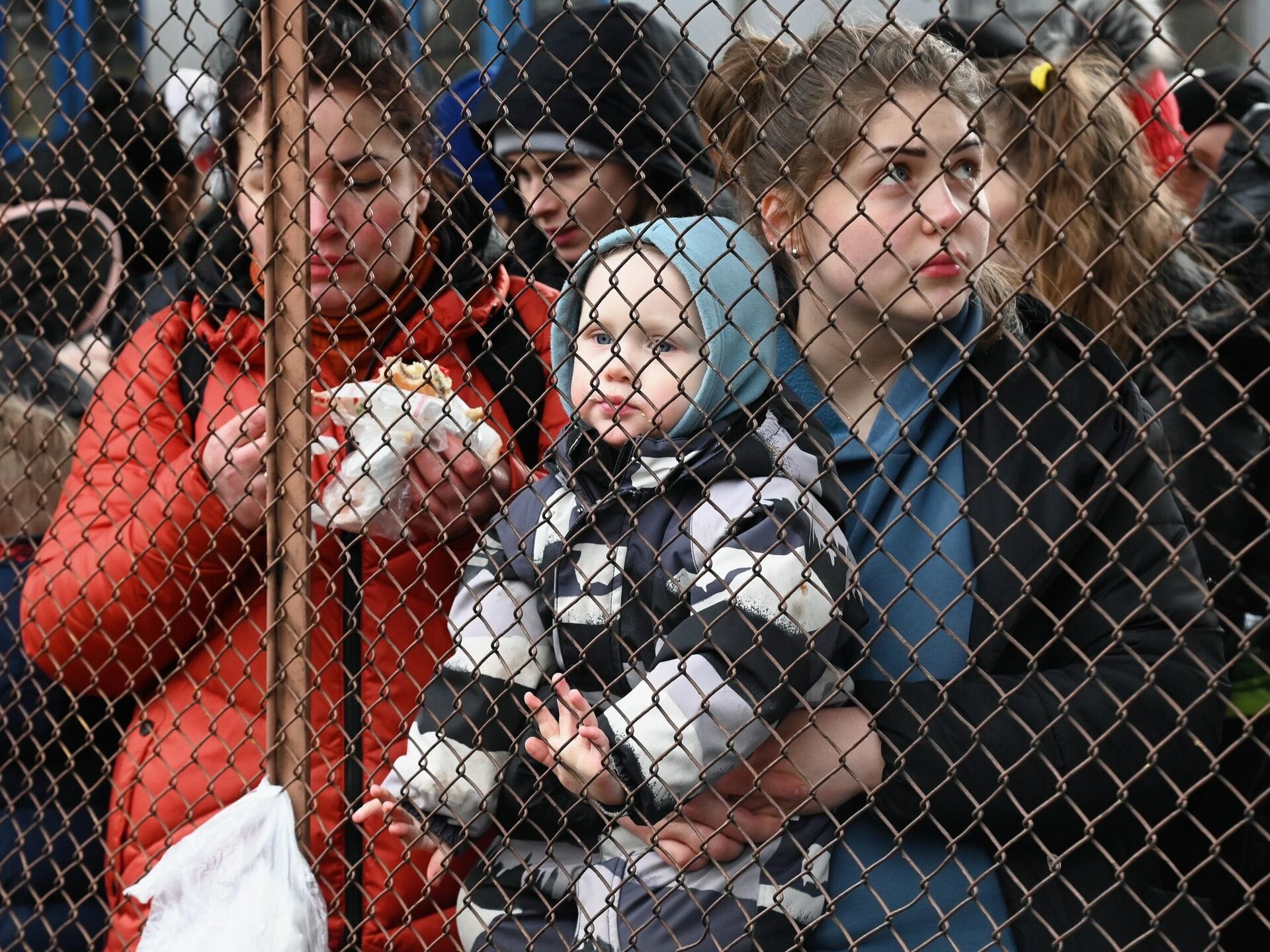Число украинских беженцев в России оказалось в несколько раз ниже заявленного властями — «Гражданское содействие»