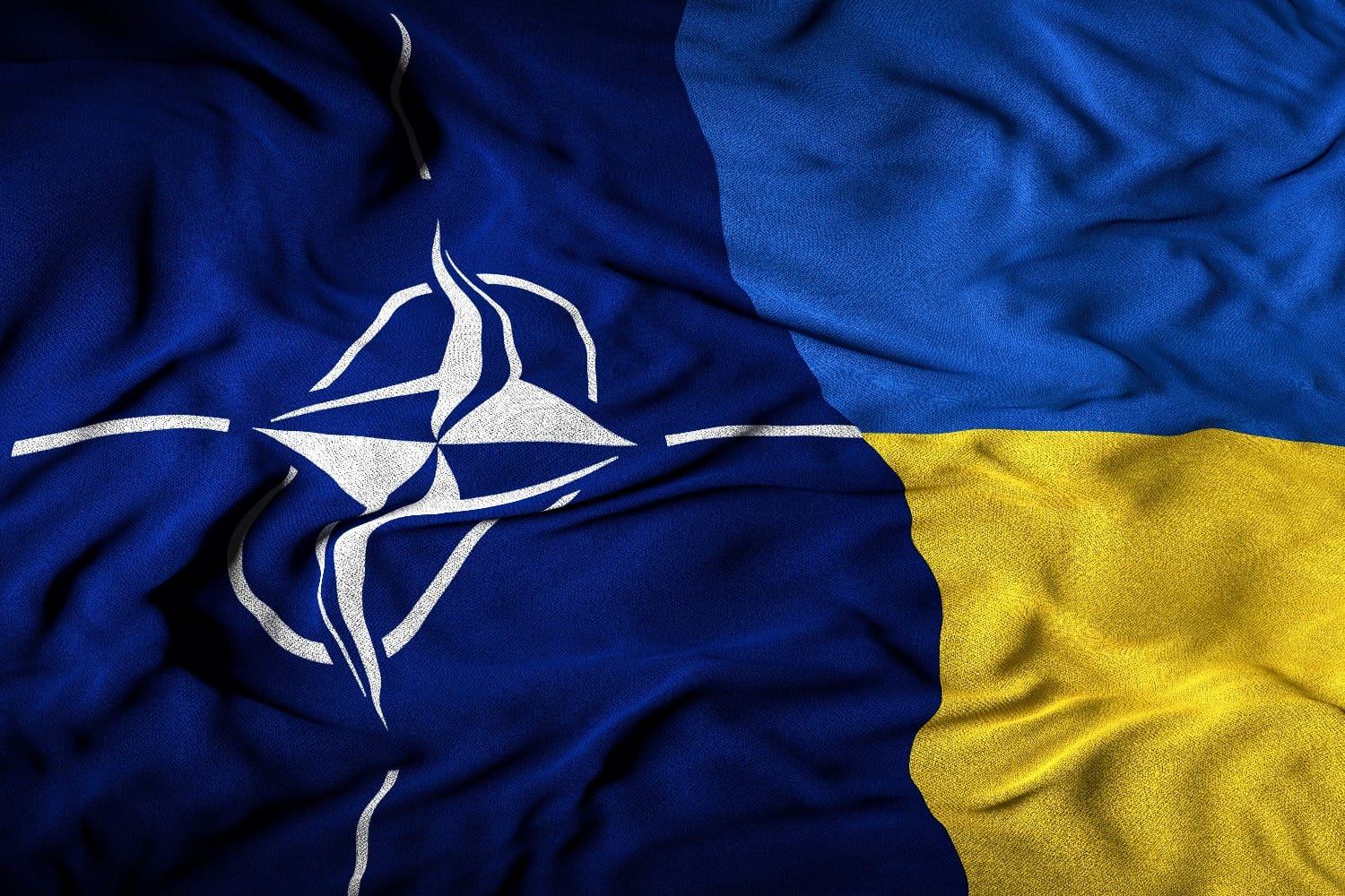 Девять стран НАТО подписали совместное заявление в поддержку вступления Украины в альянс