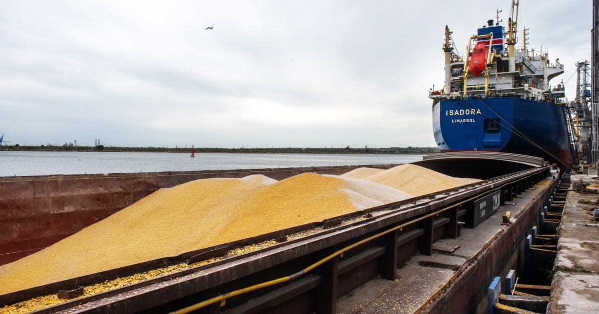 Отправка судов с продовольствием из Украины по «зерновому коридору» возобновится 3 ноября — украинские власти