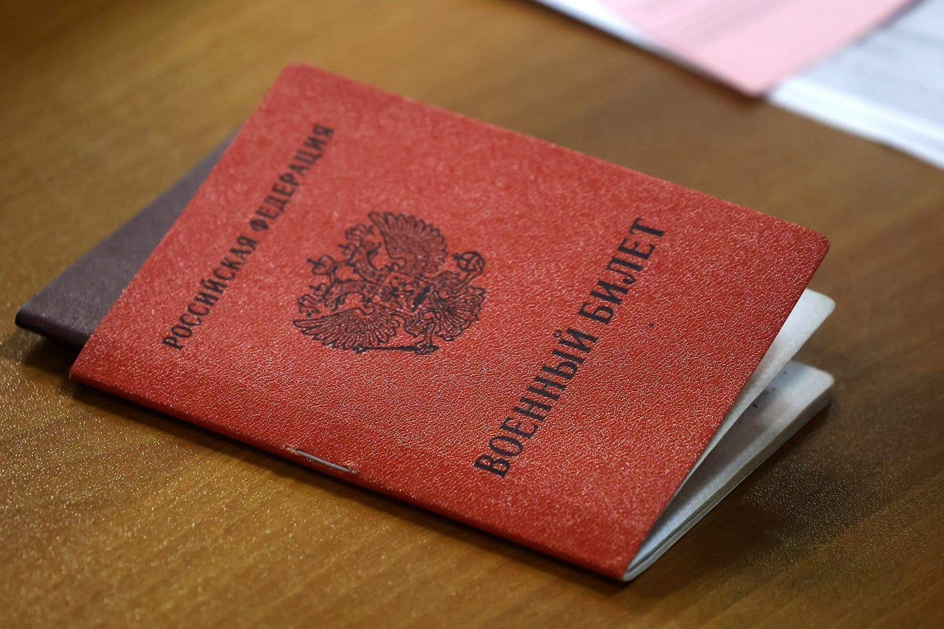 Нидерланды перестанут давать убежище спасающимся от мобилизации, потому что «ее остановило Минобороны РФ»