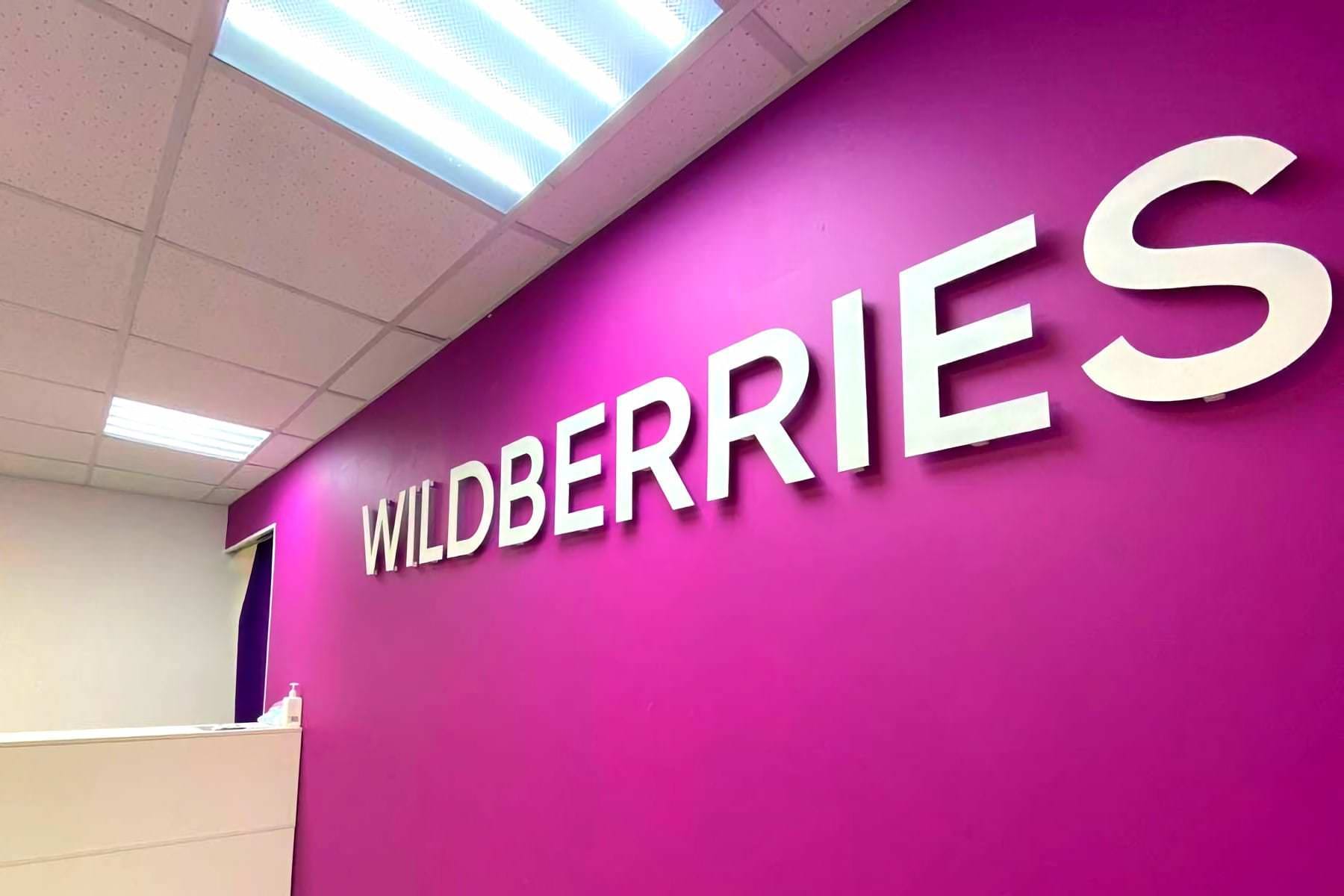 В Госдуме угрожают Wildberries внесением в реестр «иноагентов» за продажу книг «иноагентов» без маркировки