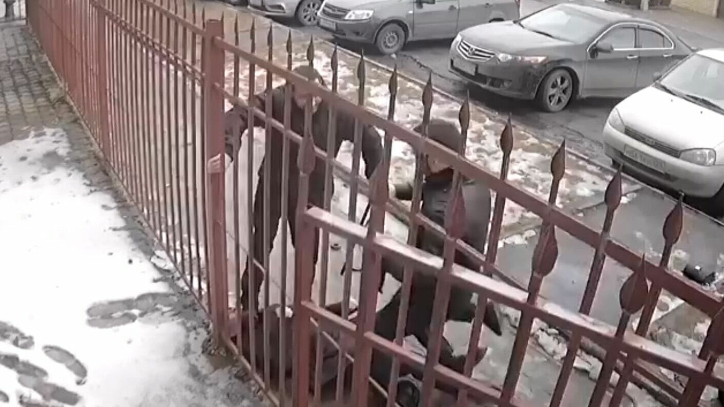 В Карачаево-Черкесии неизвестные избили битами судью и заместителя руководителя казначейства республики 