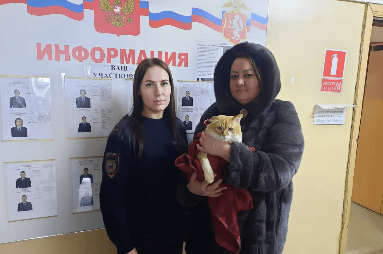 В Екатеринбурге спасли кота, которого мучил стример-живодер. Для этого понадобились петиция, огласка и множество писем в полицию