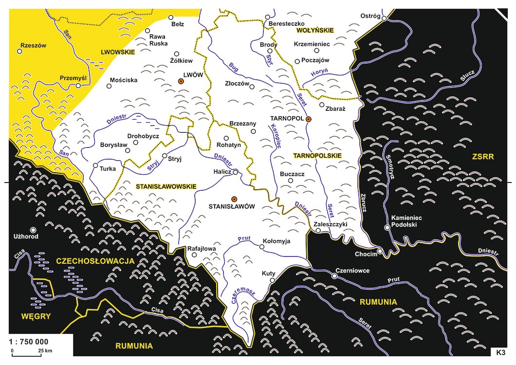 Новая жизнь старого фейка. ТАСС и белорусское телевидение сообщили, что Зеленский пообещал отдать Польше запад Украины