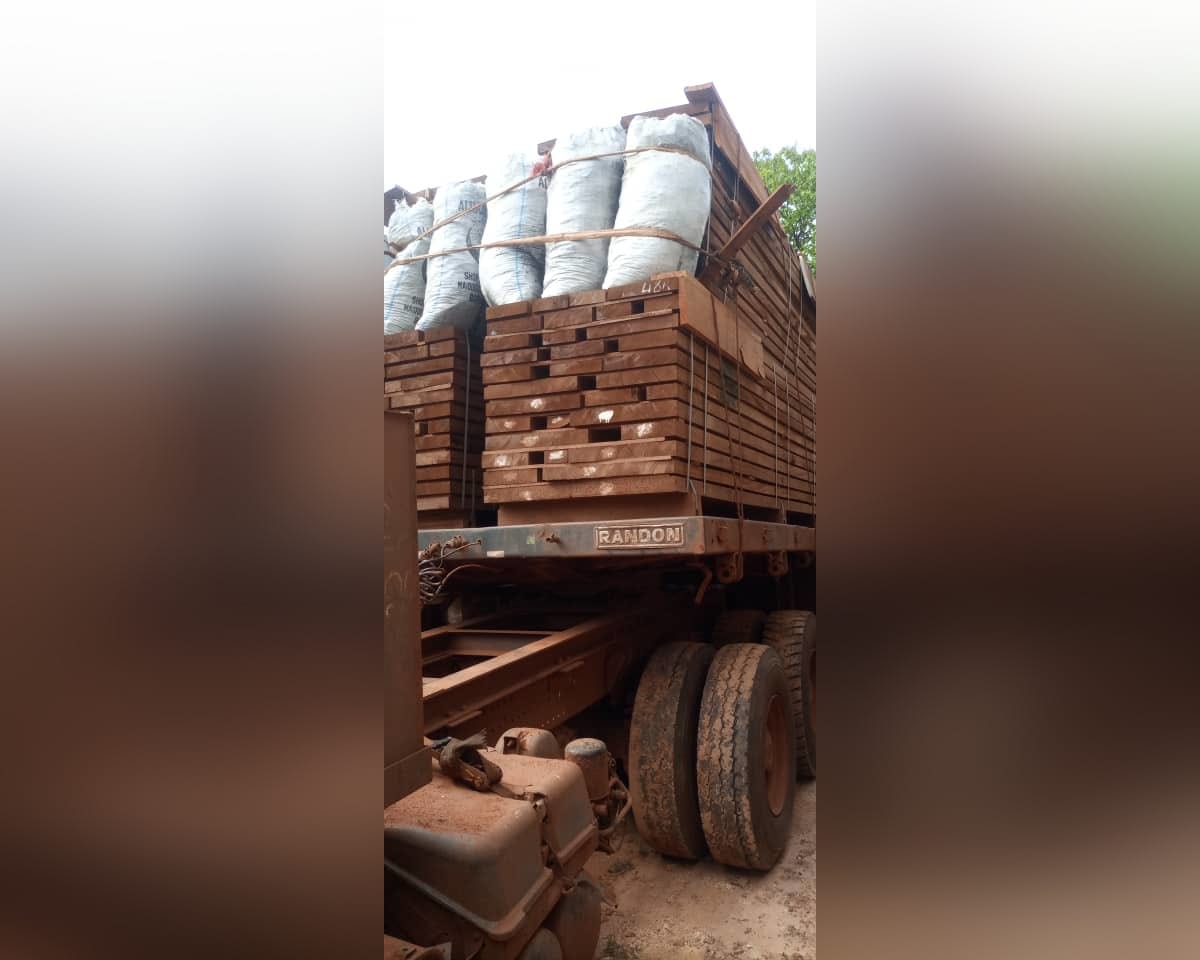 Контролируемая ЧВК Вагнера компания сменила название и поставляет в ЕС африканскую древесину — AEOW