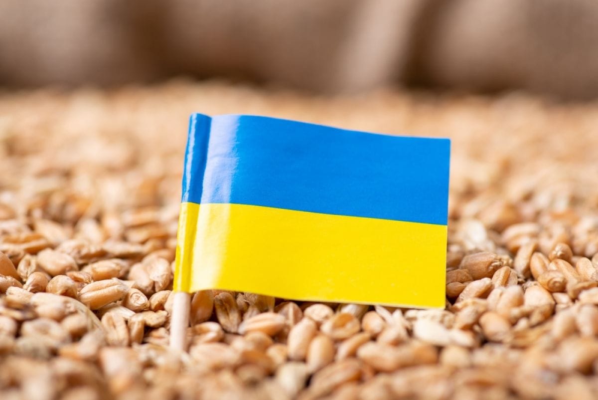 Еврокомиссия продлит ограничение на ввоз украинской сельскохозяйственной продукции в страны ЕС — Wiadomości