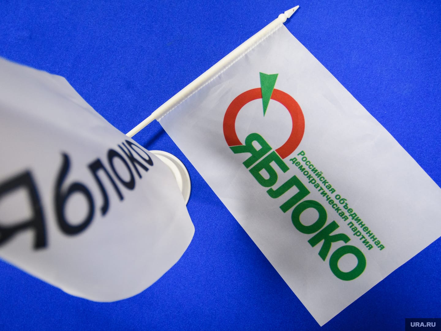 В Екатеринбурге напали на кандидата в городскую думу от «Яблока» Татьяну Зобину