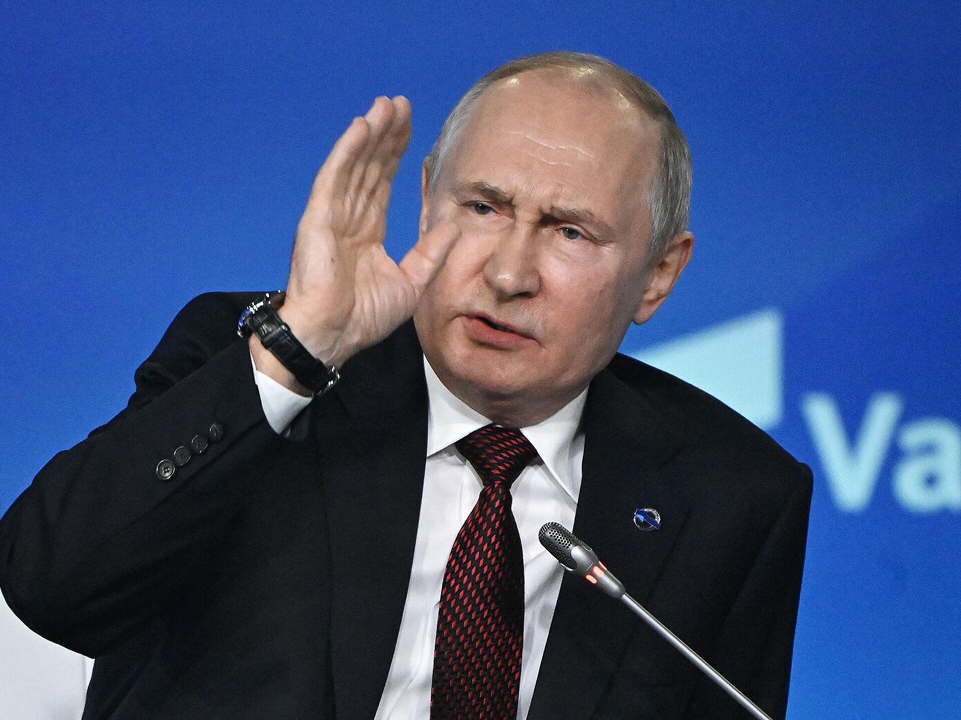 «В НАТО такая страна не нужна». 7 избранных фейков из речи Путина на «Валдае»