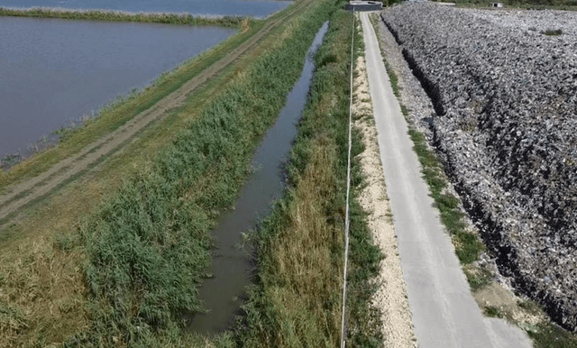 В рисе, выращенном у свалки в Краснодарском крае, нашли мышьяк. На свалку поступали жалобы, недавно к власти обратились военные с оружием