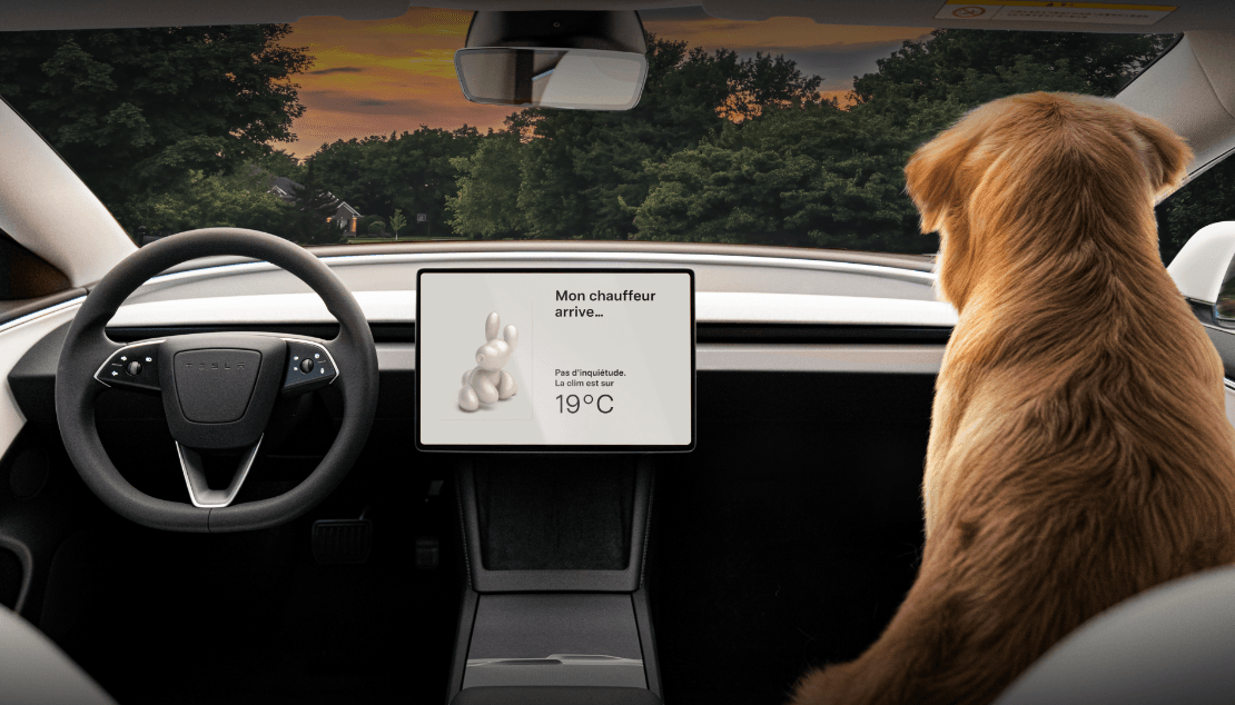 Tesla будет выпускать «доступный» электромобиль за 25 000 евро на заводе в Германии — Reuters