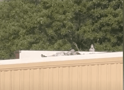 ФБР обнародовало имя стрелка. Это 20-летний житель Пенсильвании, зарегистрированный в списках избирателей как республиканец