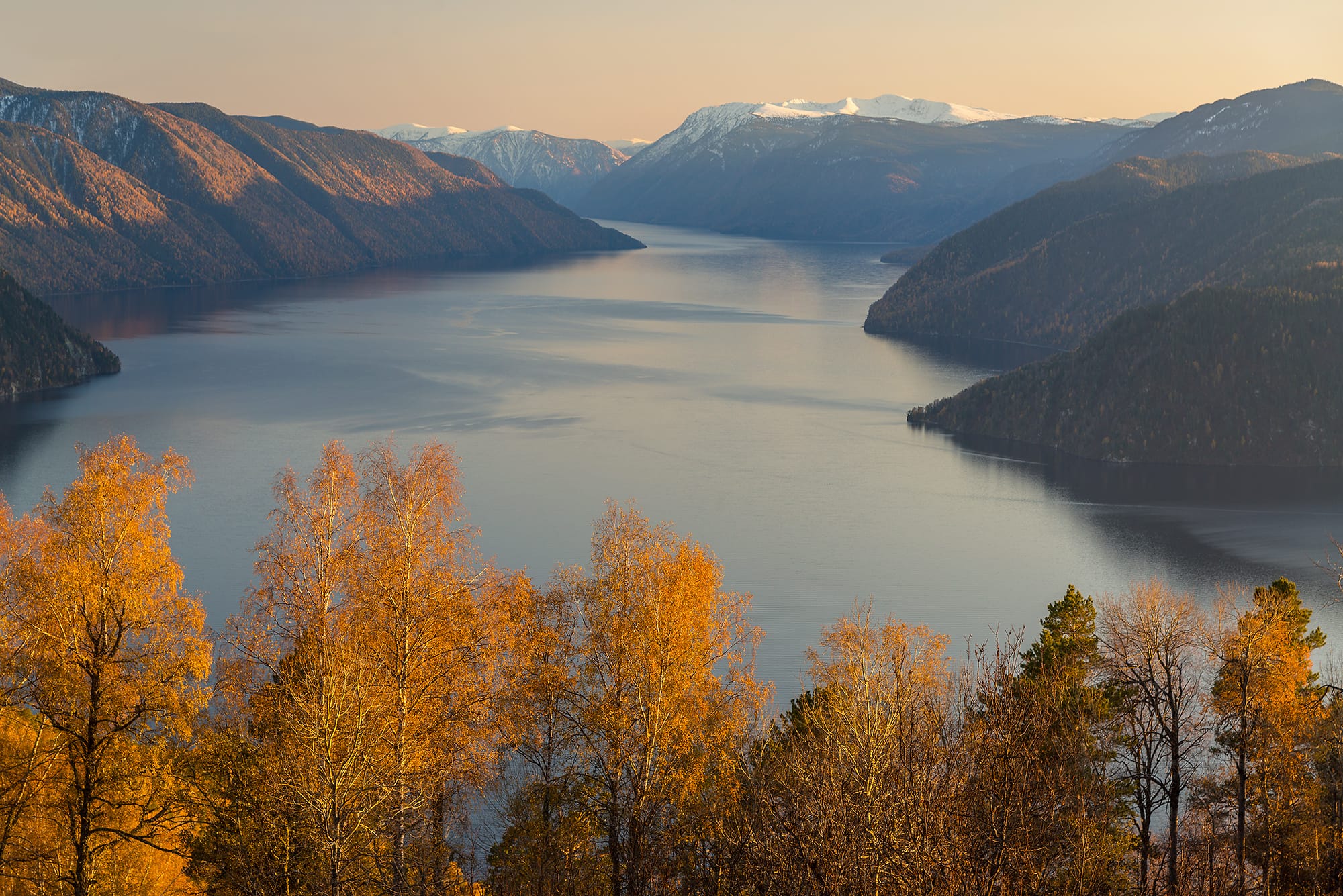 В Госдуму внесли законопроект, который позволит застроить любой заповедник России. Могут быть уничтожены все охраняемые территории — экологи