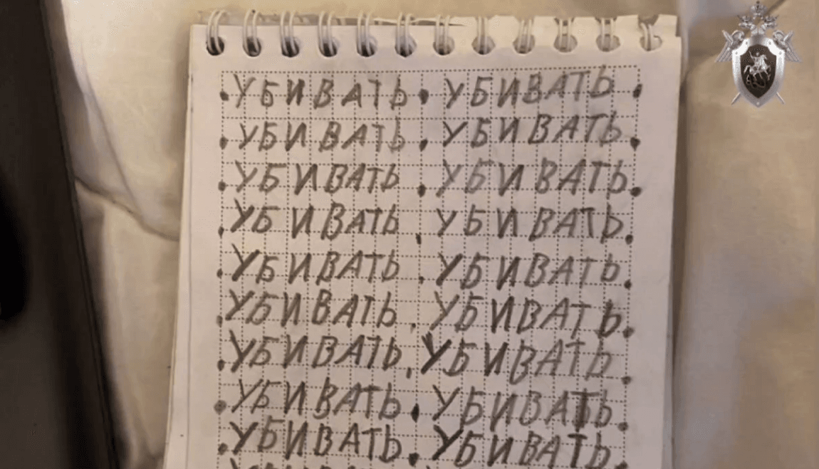 В Красноярском крае задержали восемь предполагаемых членов банды неонацистов. Им от 16 до 19 лет