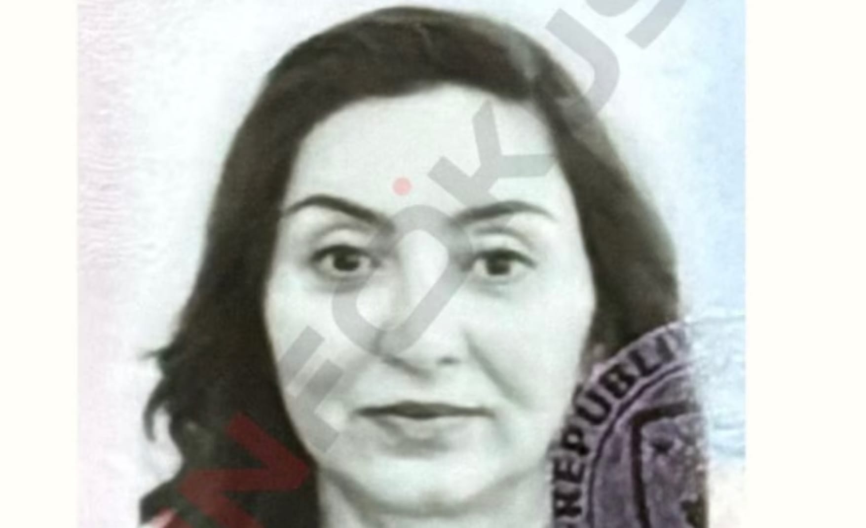 Гражданку Таджикистана задержали в Косово по обвинению в шпионаже в пользу России