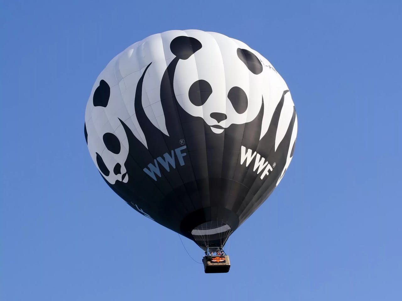 Директора ботанического сада во Владивостоке оштрафовали из-за логотипа «нежелательного» в России WWF