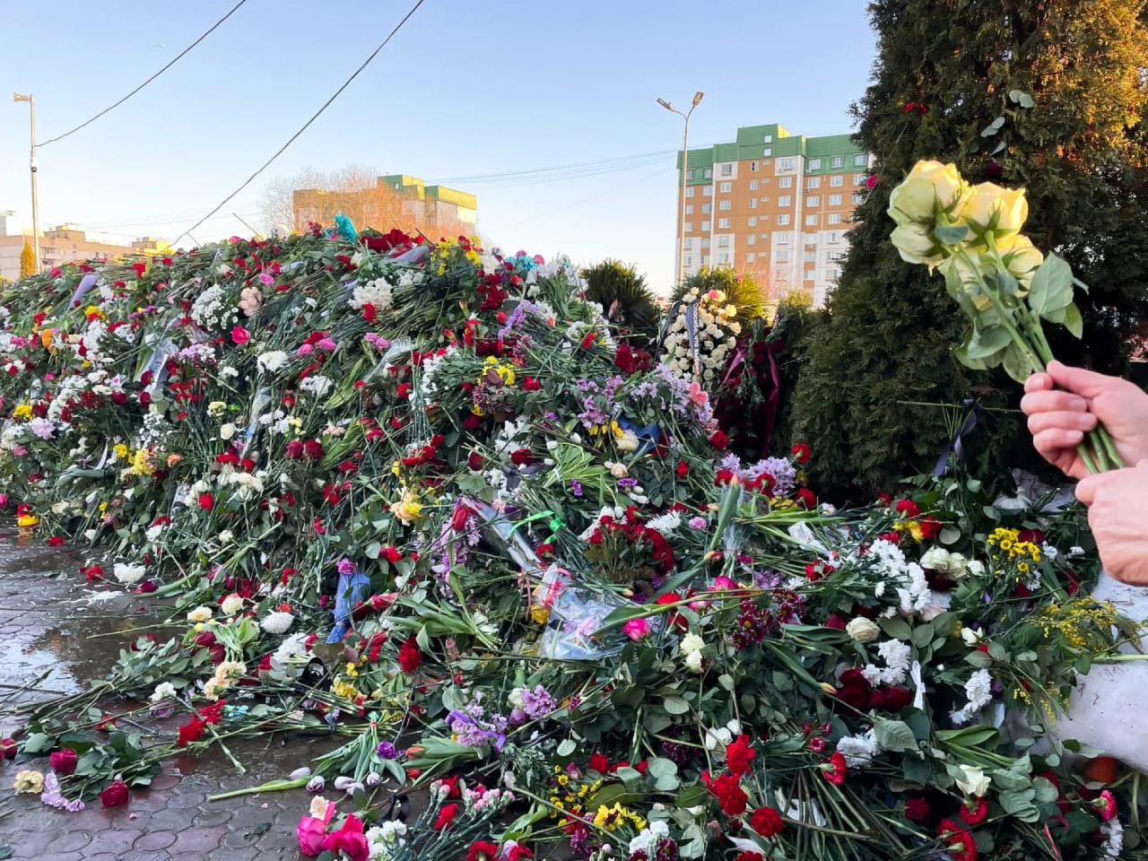 Послы стран ЕС почтят память Навального на Борисовском кладбище — «Сирена»