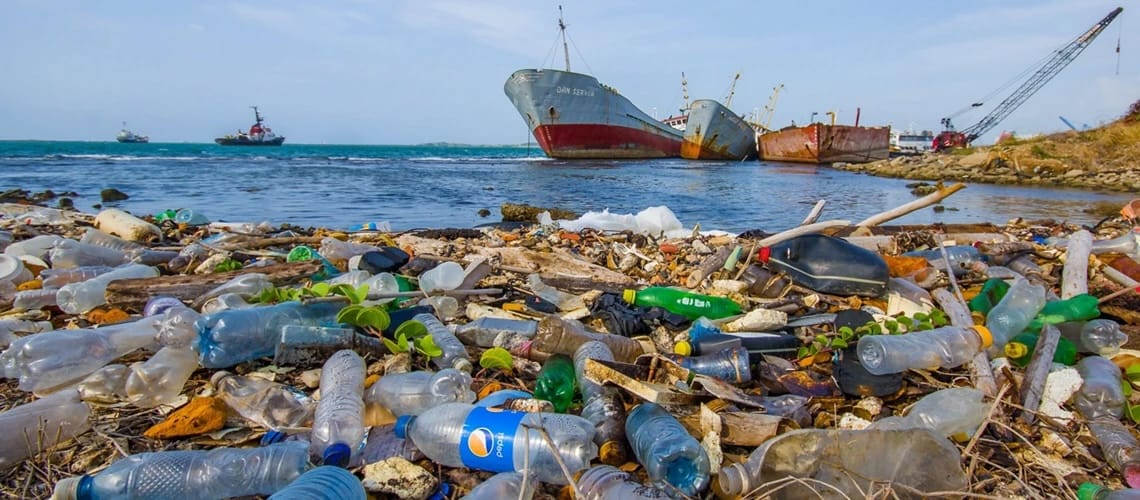 Британские ученые модифицировали кишечную палочку, чтобы она перерабатывала пластик в парацетамол