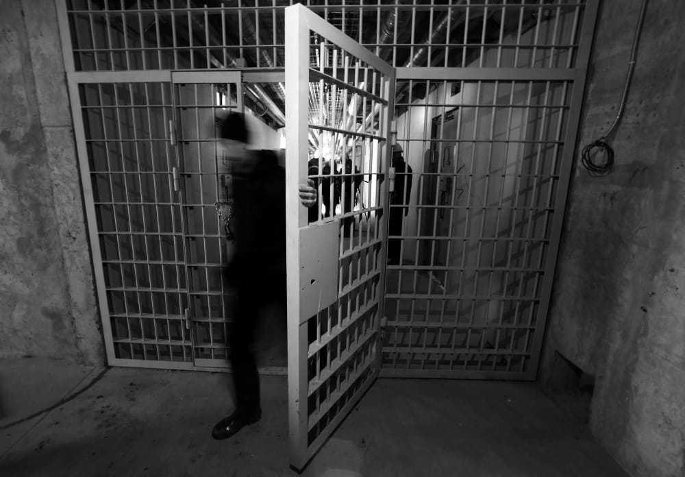 Елена Эфрос, мать режиссера Жени Беркович, сообщила о закрытии проекта «Сказки для политзаключенных» из-за нового закона