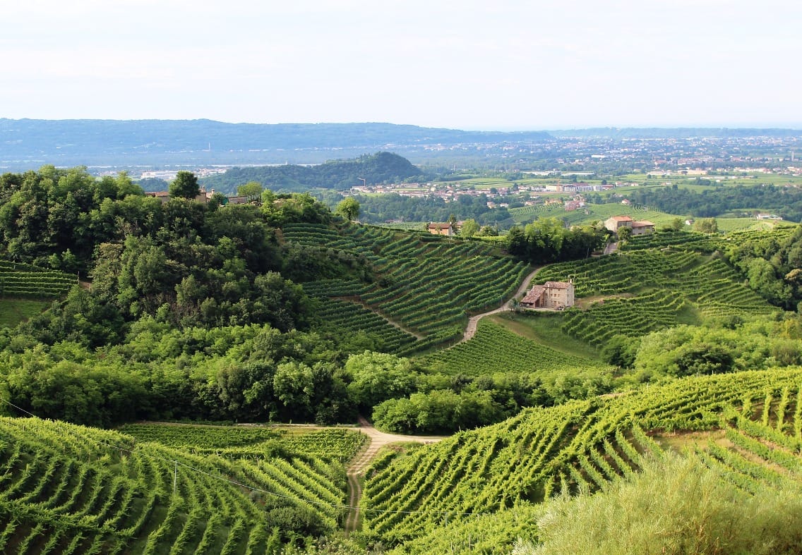 В парламенте Италии потребовали от правительства провести проверку по расследованию The Insider о кремлевских олигархах-виноделах