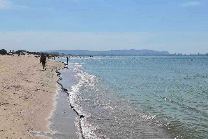 Власти отчитались о завершении очистки Черного моря у берегов Кубани от мазута, хотя Росприроднадзор заявлял о невозможности убрать все