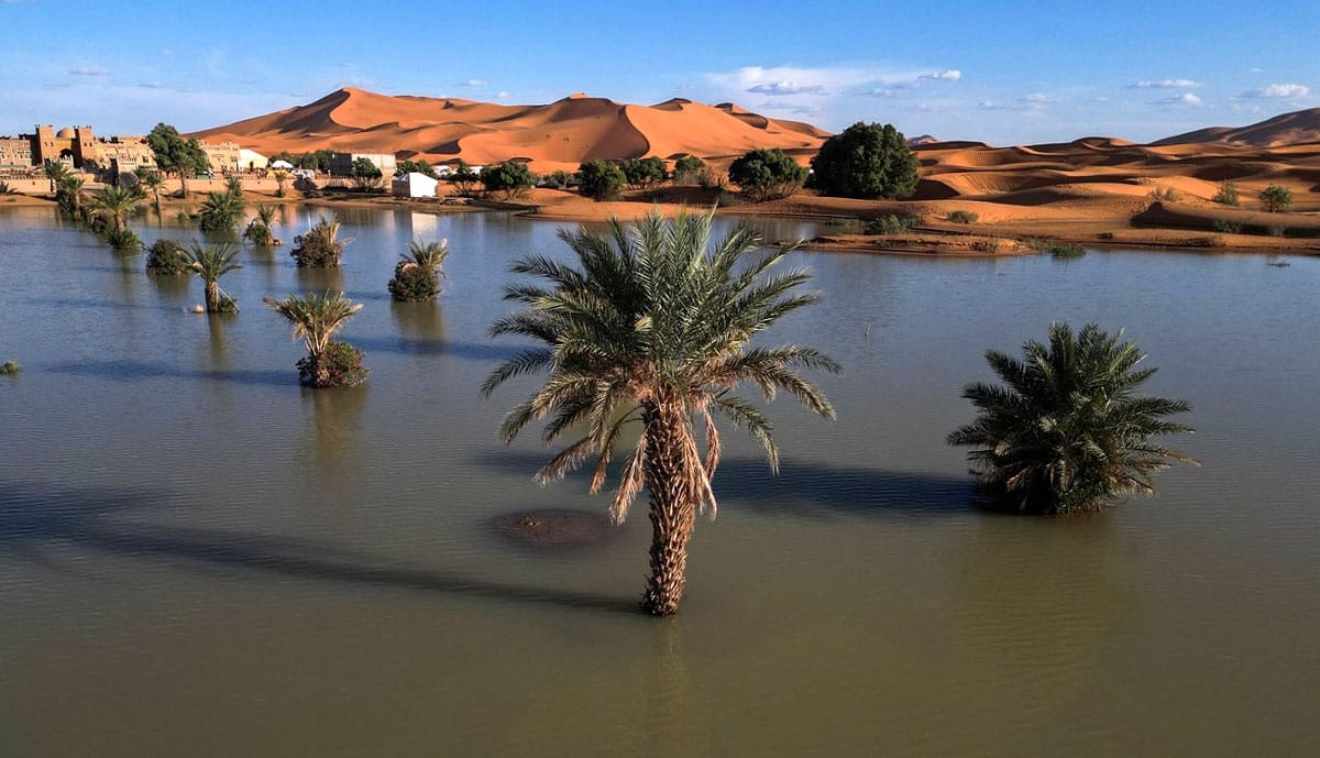 Климатологи спрогнозировали экстремальный рост осадков в Сахаре на 75% к концу XXI века