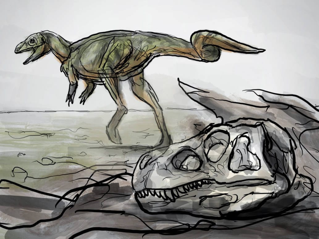 В Аргентине нашли одного из древнейших хищных динозавров с чертами более поздних видов