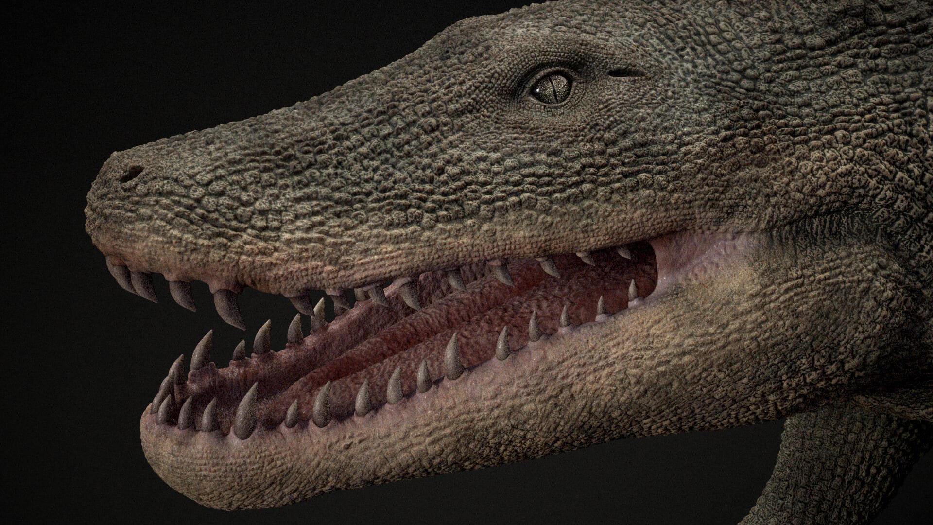 Палеонтологи нашли самую старую в Австралии скорлупу яиц древних вымерших крокодилов