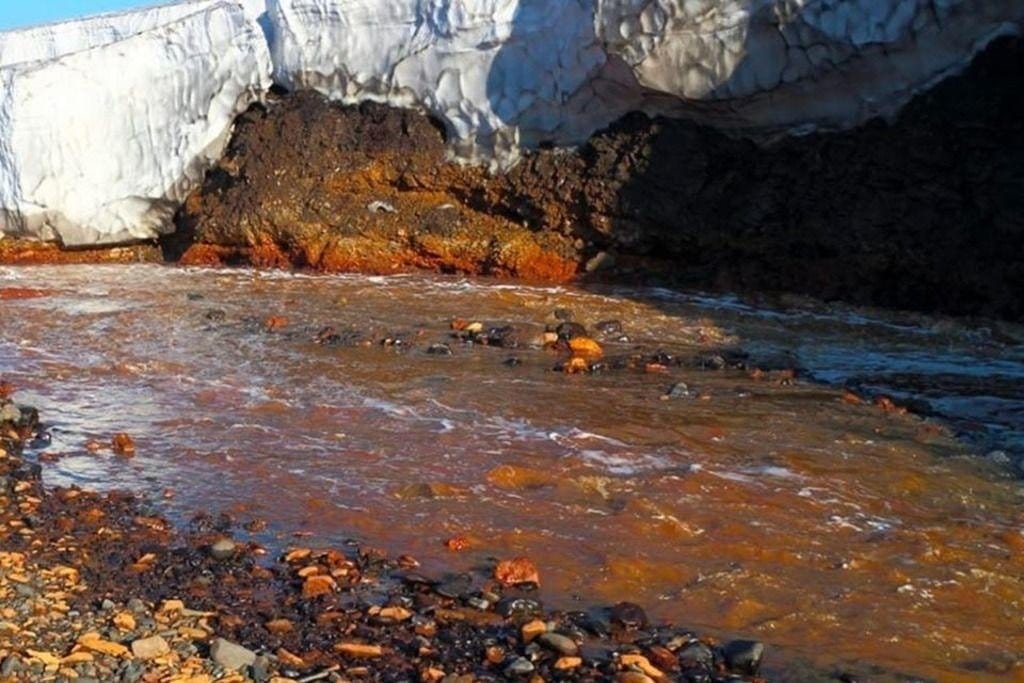 "Причина катастрофы - нарушение базовых норм и требований техники безопасности".  Эксперт WWF России о разливе топлива в Норильске