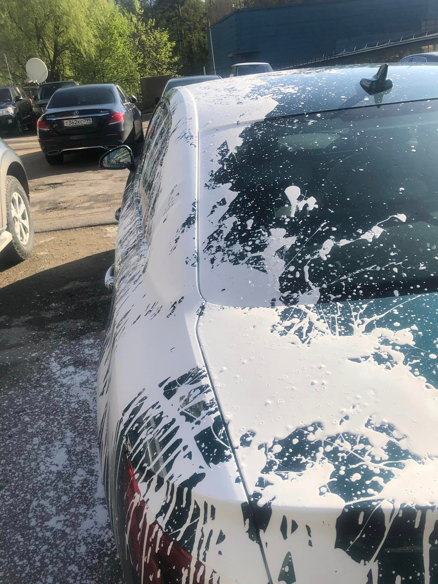 Облитый краской автомобиль Пономаревой