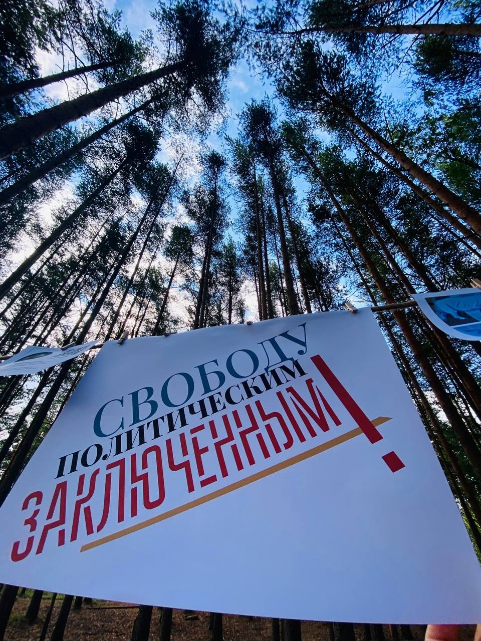 Миниатюра 9