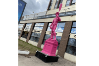 Миниатюра 9