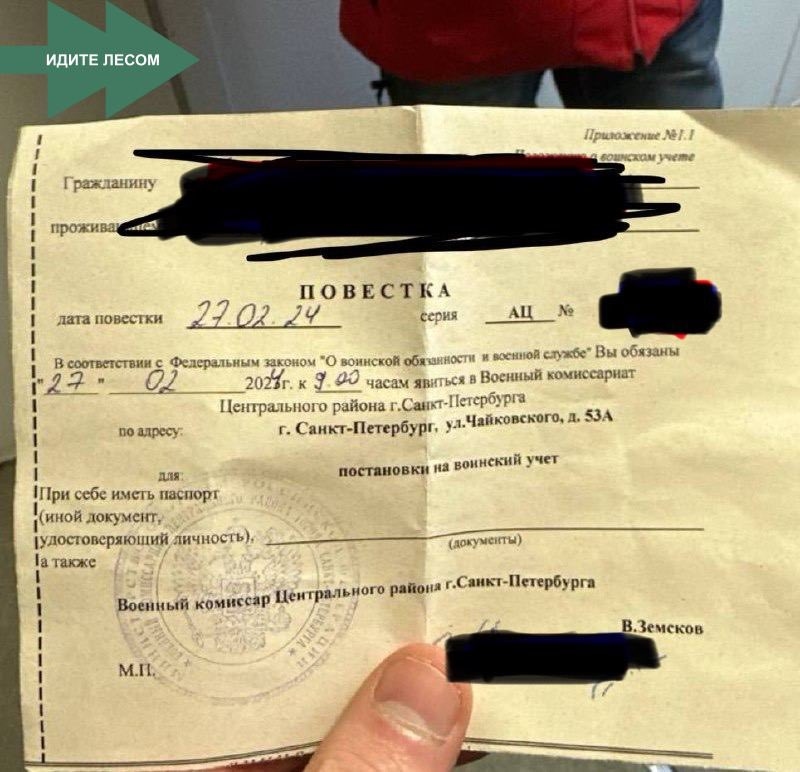 Фото: Григорий Свердлин, проект «Идите лесом»