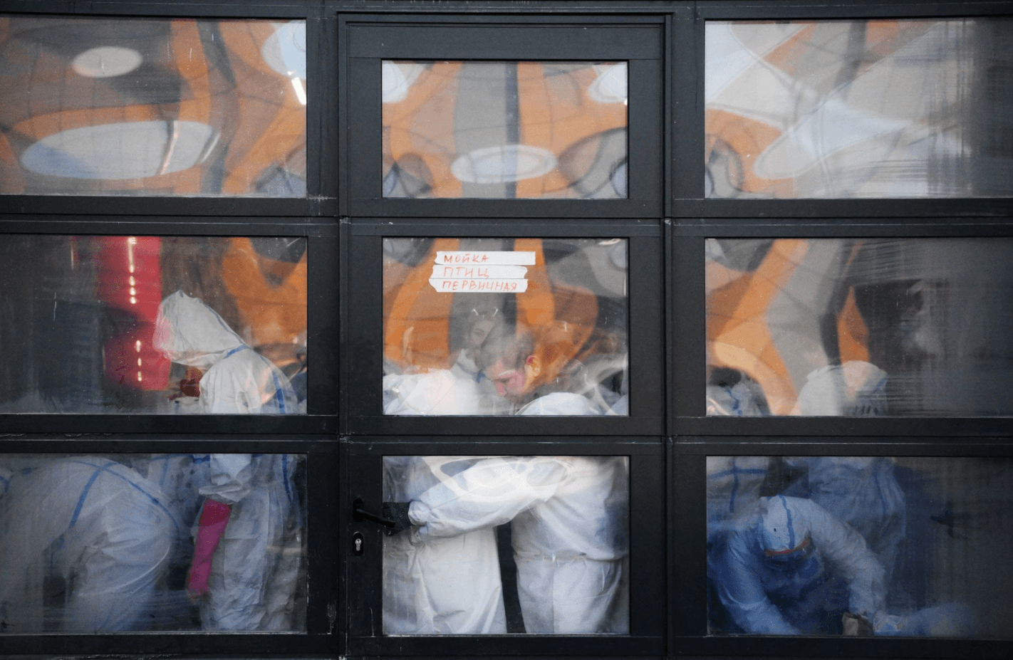 A window at the bird rescue center in Vityazevo, Krasnodar Krai, where volunteers and veterinarians wash oil-contaminated birds and provide them with medical care. Dec. 21, 2024.