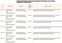 Миниатюра 5