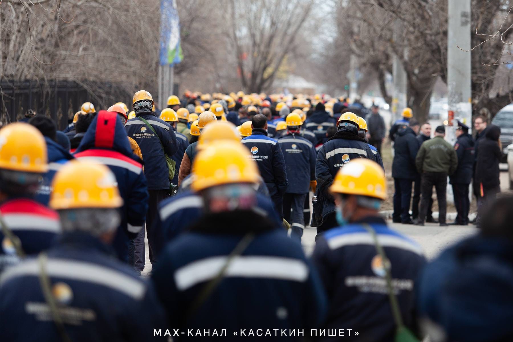 Изображение из галереи