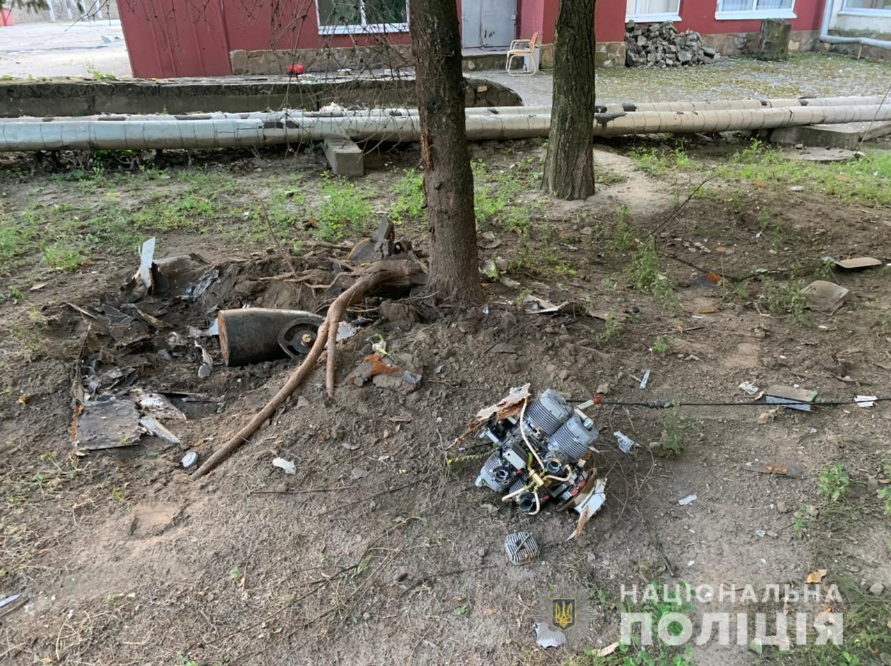 Иллюстрация к материалу
