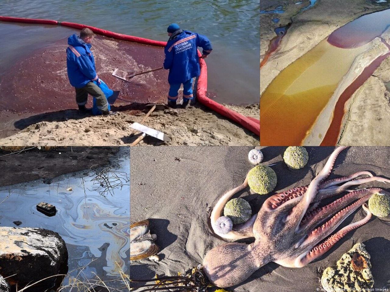 Темные воды. 6 крупнейших загрязнений российских рек и морей за последние полгода