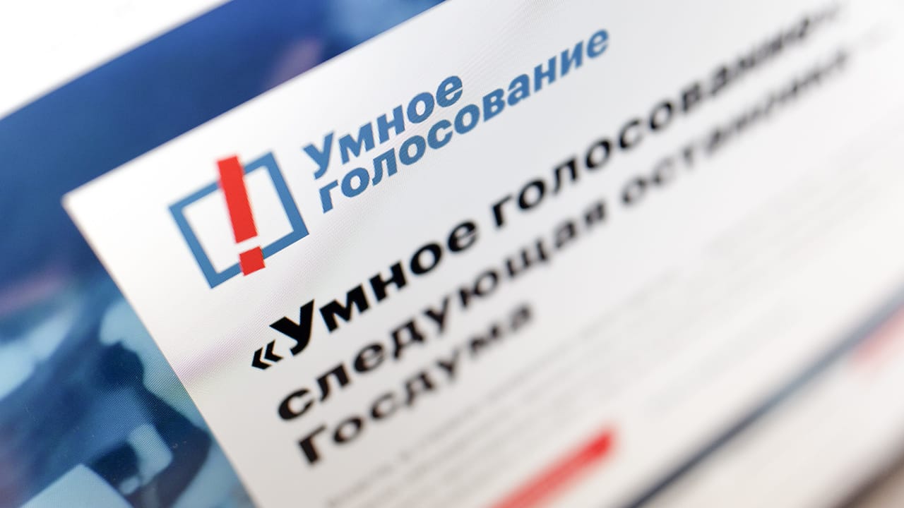 Фирма по продаже овечьей шерсти оформляет права на товарный знак «Умное голосование»