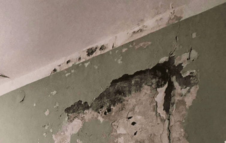 Захар Прилепин похвалил больницу за баннер с буквой Z. Пациенты в ответ показали фото обшарпанных стен, насекомых и плесени