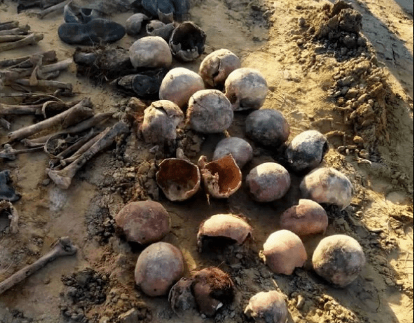 На дагестанской базе отдыха нашли 18 скелетов времен сталинских репрессий