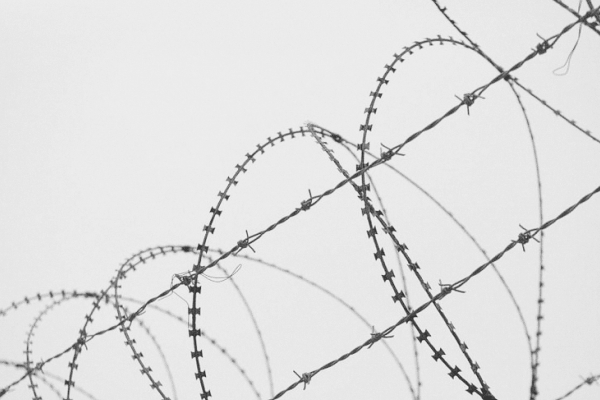 Больше 50 человек стали фигурантами дел об участии в легионе «Свобода России» и РДК — «Вёрстка»