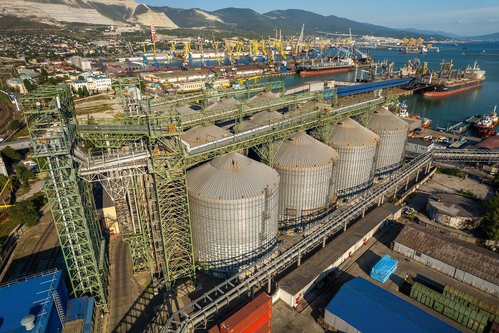 После остановки терминалов в Новороссийске российское зерно подешевело до минимума с мая 2024 года