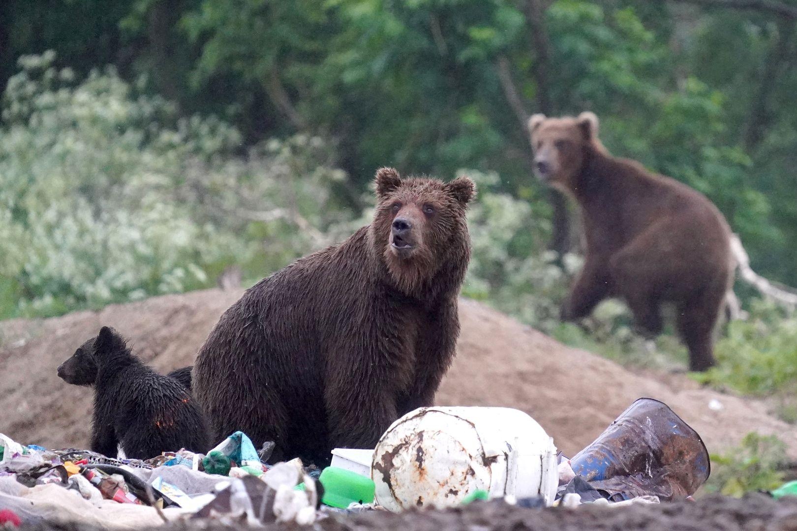 Фото: «Известия»