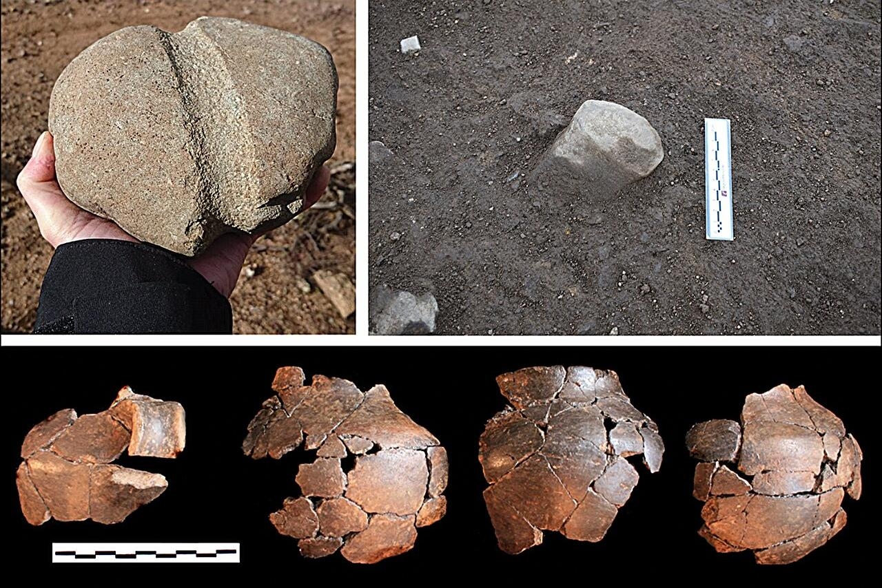 Фото: Antiquity