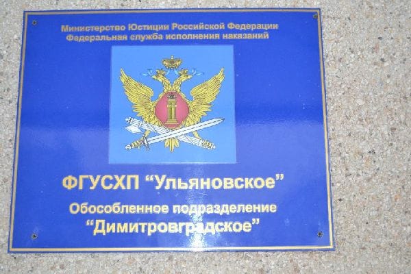 В колонии Ульяновской области 33 заключенных нанесли себе порезы в знак протеста