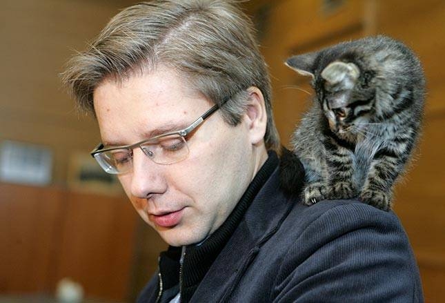 Иллюстрация к материалу