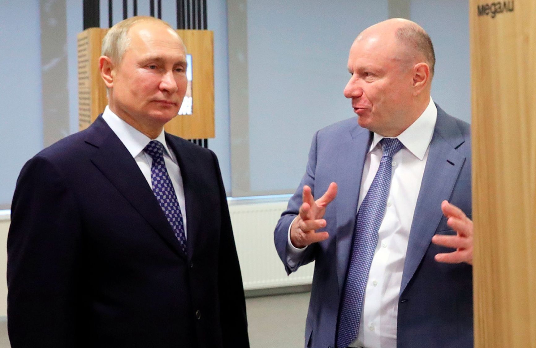 Vladimir Putin and Vladimir Potanin